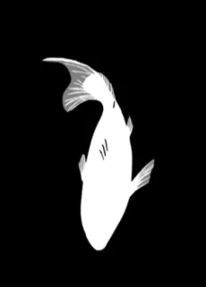 掬いあげてくれないか