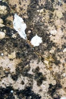 変形作品第２番