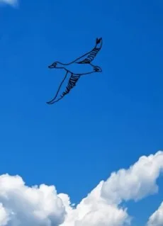 ワンダーランド