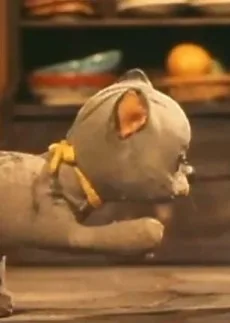 もりのおんがくたい