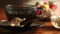 物語のある砂糖