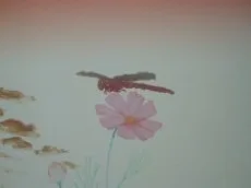 SONODA Video: Spring / Summer / Fall / Winter