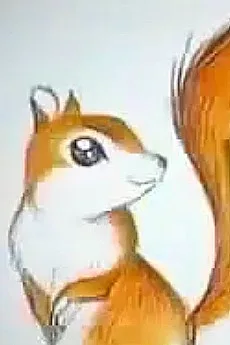 リスに恋した少年