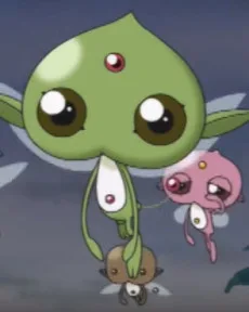 白石の妖精ぴち