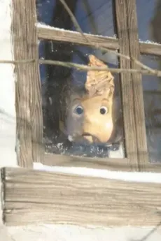 11月うまれの男の子のために。