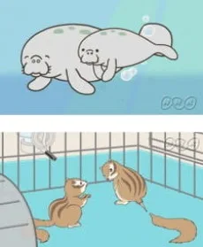 ざんねんないきもの事典 (Special)