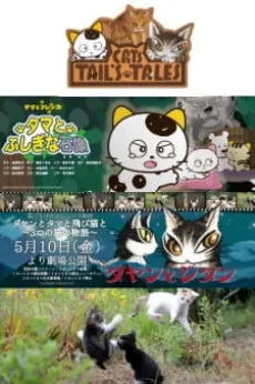 ダヤンとタマと飛び猫と ～3つの猫の物語～