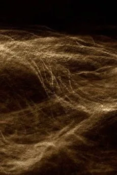 無軌道な線たち