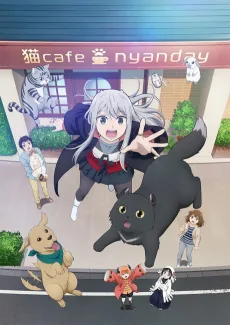 カワイスギクライシス