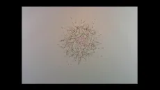 ある記憶