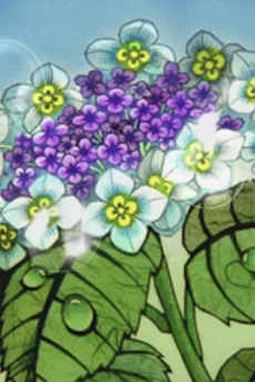 夏恋花