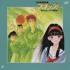 埼玉暴走最前線 フラッグ! 死にものぐるいの青春!!