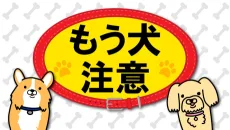 もう犬注意