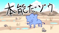 本能だゾウ