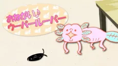 おねがい！ウーパールーパー