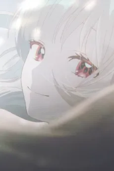 きらめく絆創膏