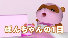 ぽんちゃんの１日