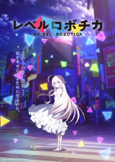 レベルロボチカ