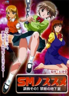 SMノススメ