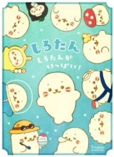 しろたん しろたんがいっぱい!