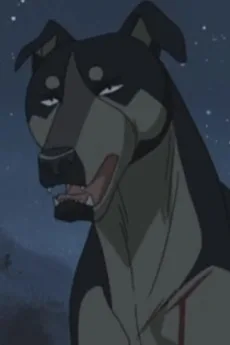サンダー
