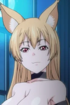 ナビ狐
