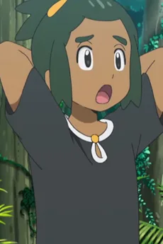 ハウ