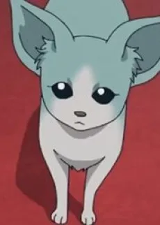 チマ