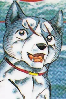 ジョー