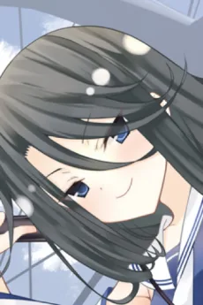 疋田琥珀 