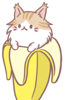 メインクーンばなにゃ