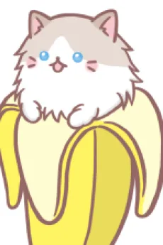 ラグドールばなにゃ