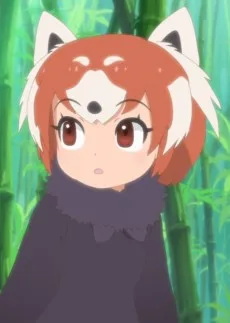 レッサーパンダ