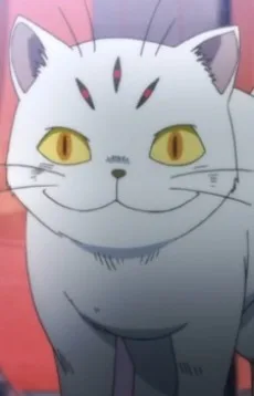 ネコモドキ