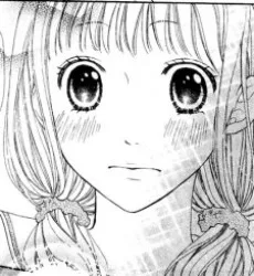 山城花
