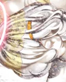ジャミ