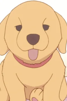 後藤ロク