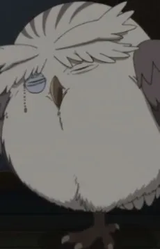 コクマー