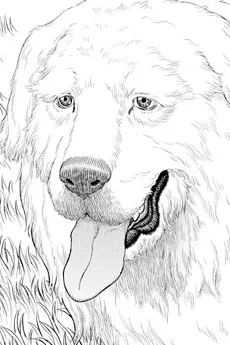 フワワ