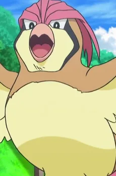 ピジョン