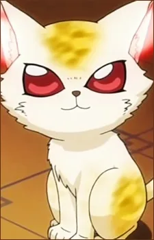 瓜