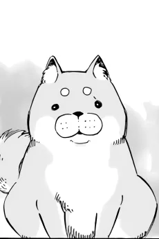 茶子