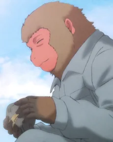 猿のおばさん