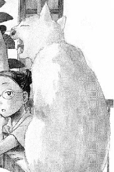しゃちょう