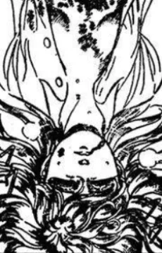 キャリー