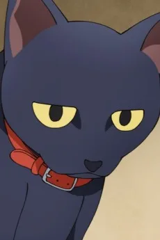 飼い猫