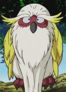 トキトキ