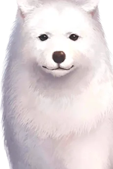 カヴァス II