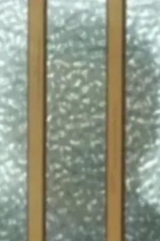 楠宝子の父