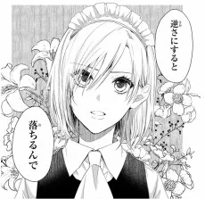 岸